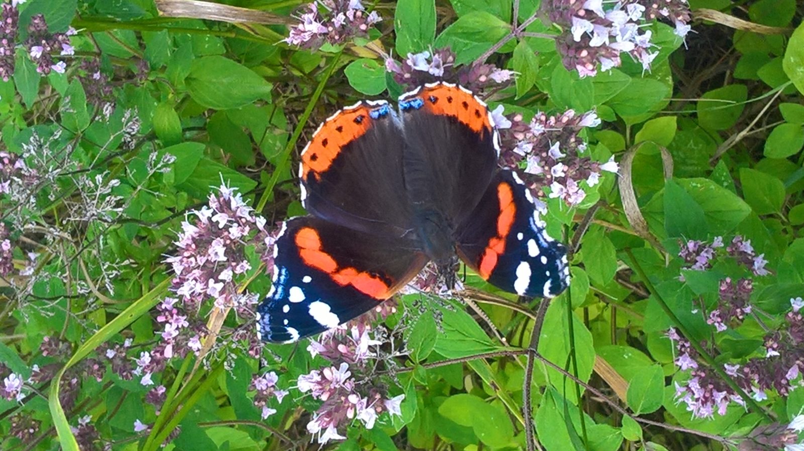 Valokuvaaja: Eija Johanna Saastamoinen