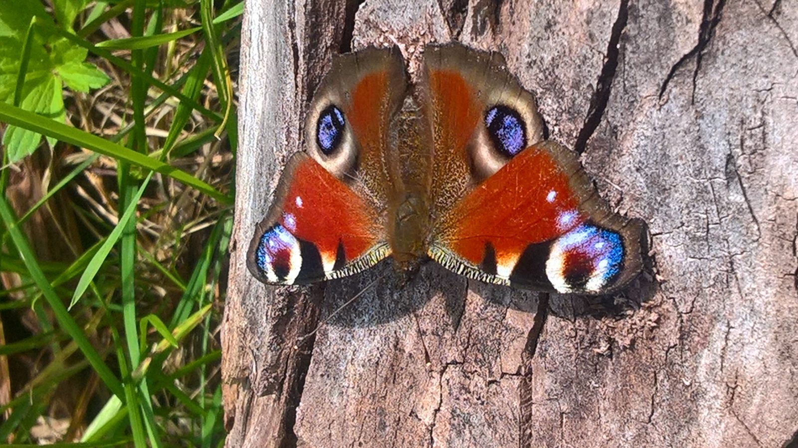 Valokuvaaja: Eija Johanna Saastamoinen