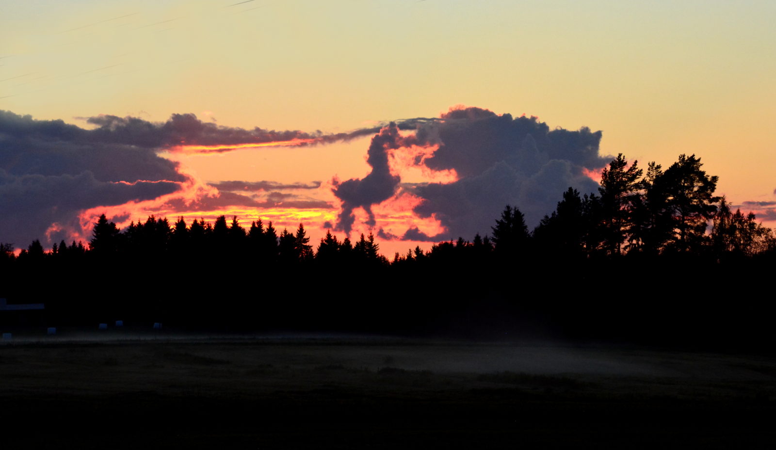 Valokuvaaja: MIKKO T.  SAVOLAINEN