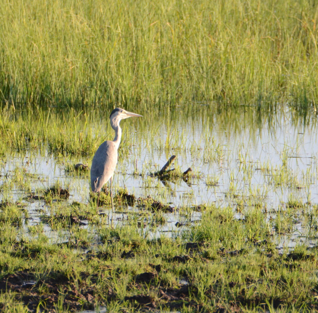 Valokuvaaja: MIKKO SAVOLAINEN