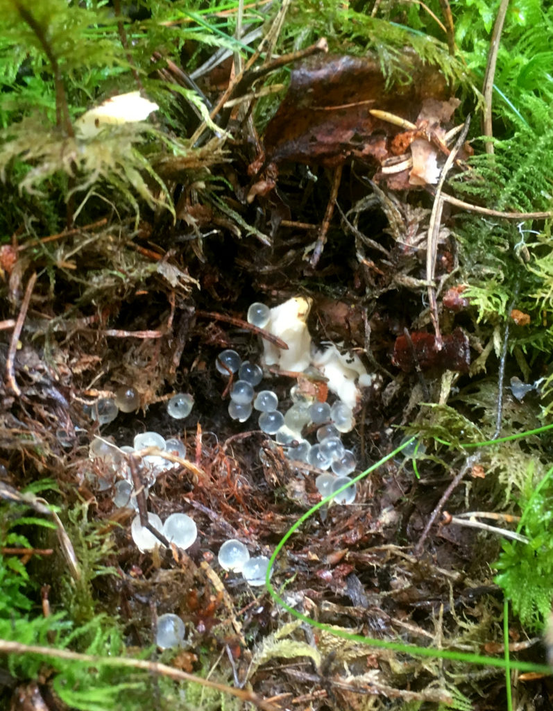 Valokuvaaja: Jarkko Nääs