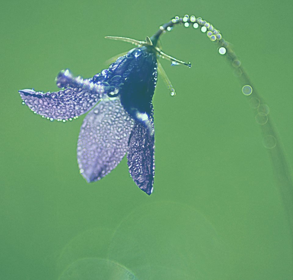 Valokuvaaja: Eija Varjola Valokuvaaja: Eija Varjola