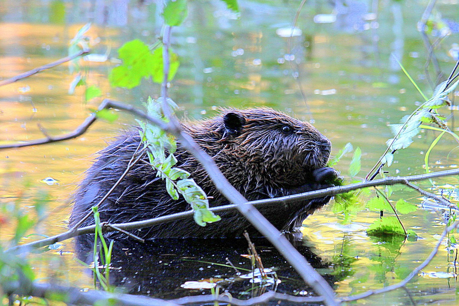 Valokuvaaja: Sirpa Jyske