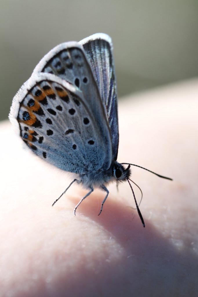 Valokuvaaja: Päivi Salonen