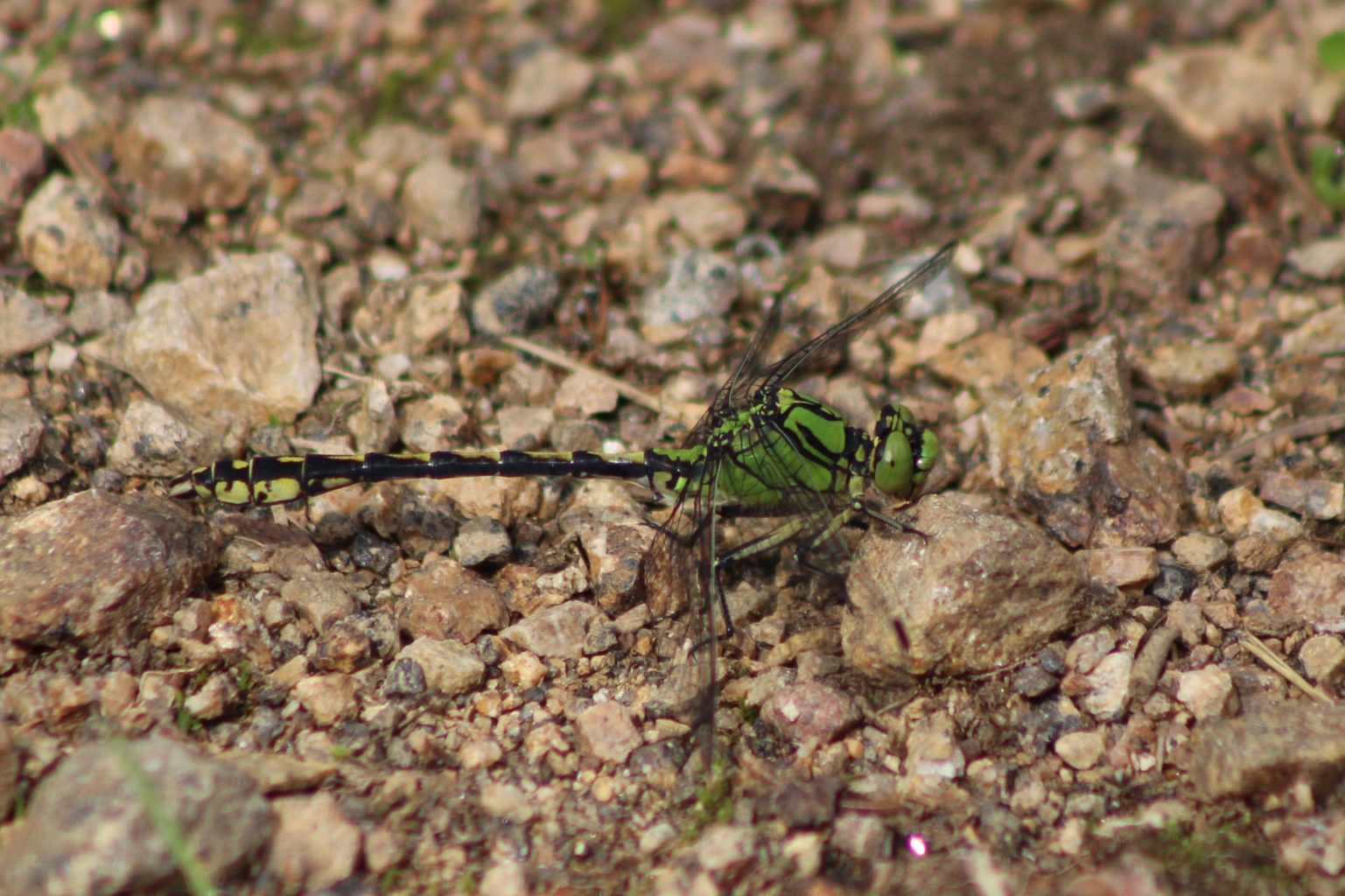 Valokuvaaja: Päivi Salonen