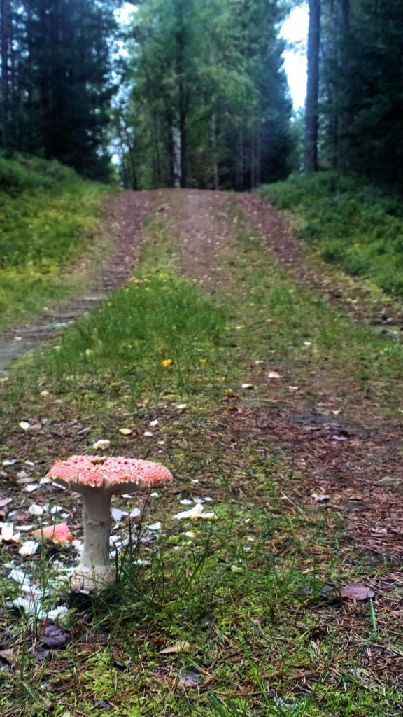 Valokuvaaja: Ahti Keränen