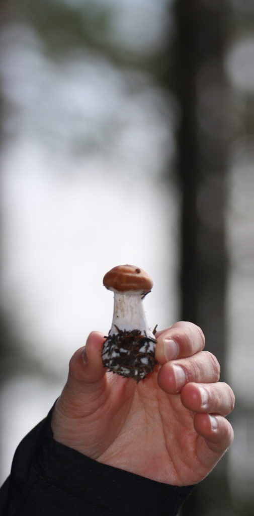 Valokuvaaja: Ahti Keränen