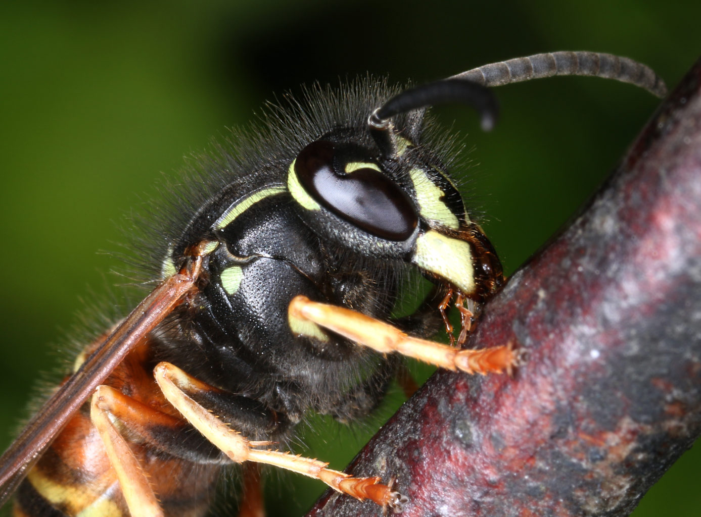 Valokuvaaja: Tarja Porkkala