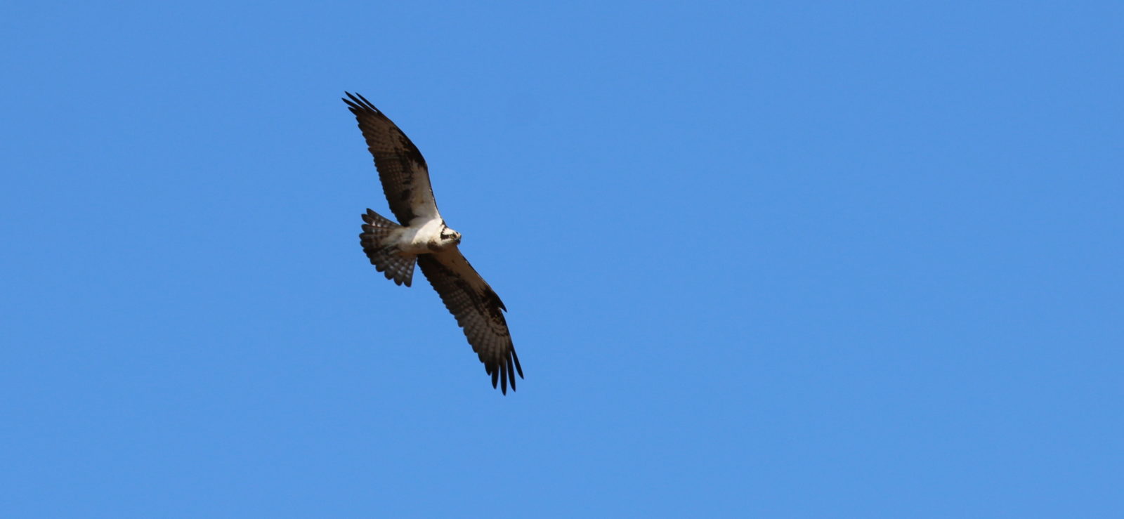 Valokuvaaja: Ahti Keränen