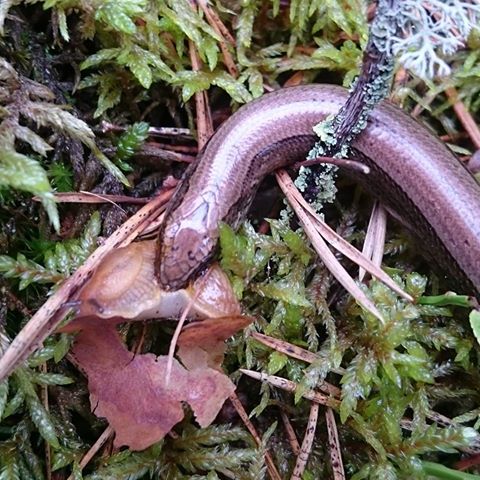 Valokuvaaja: Virpi Sinervo