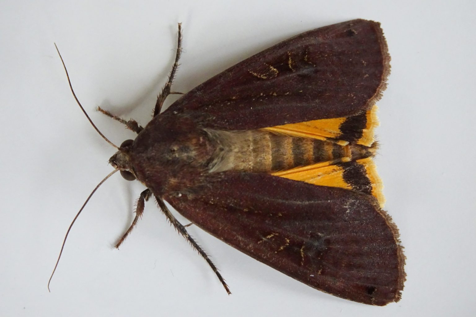 Valokuvaaja: Irja lehtinen