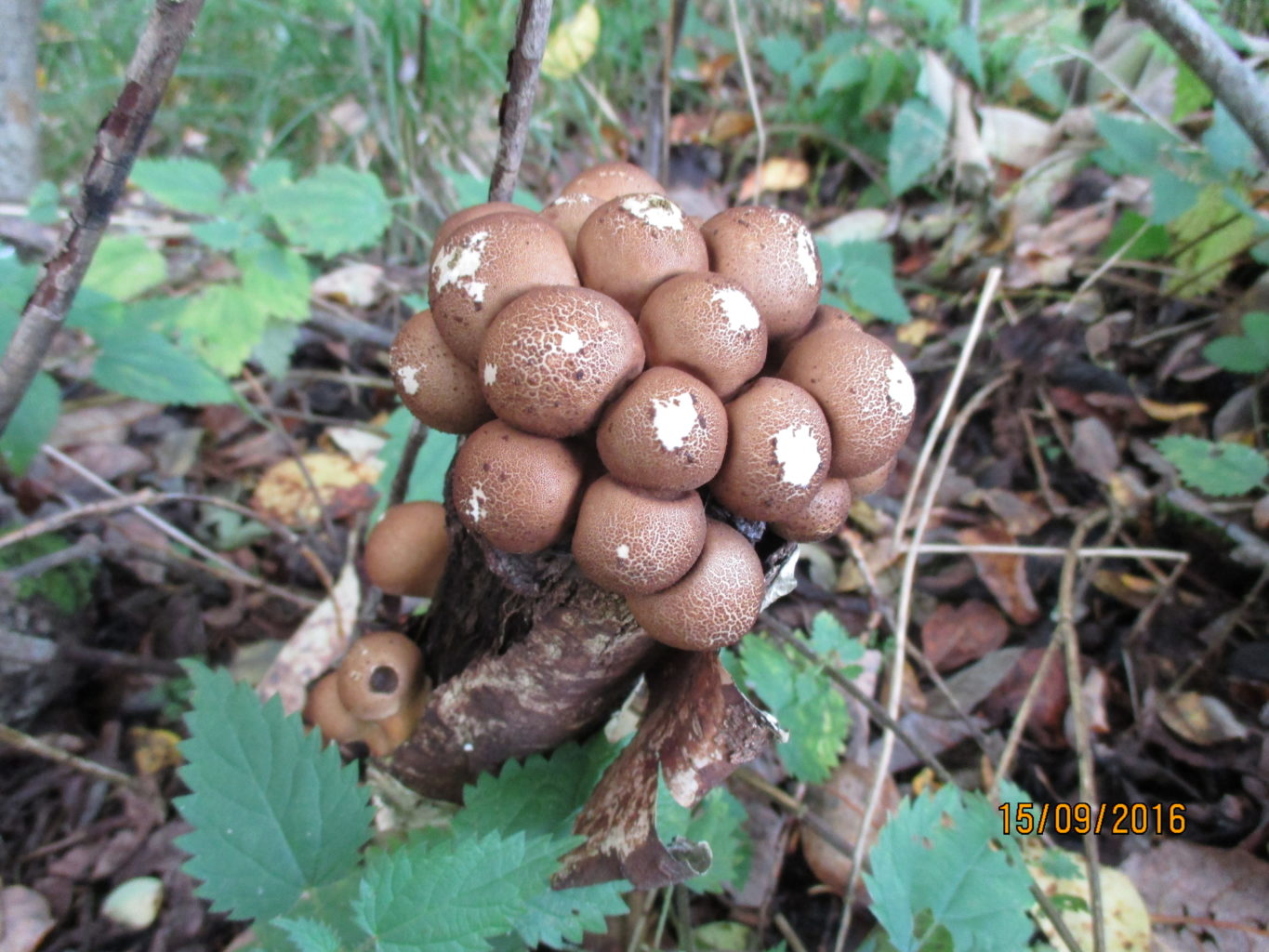 Valokuvaaja: yrjo lukkari