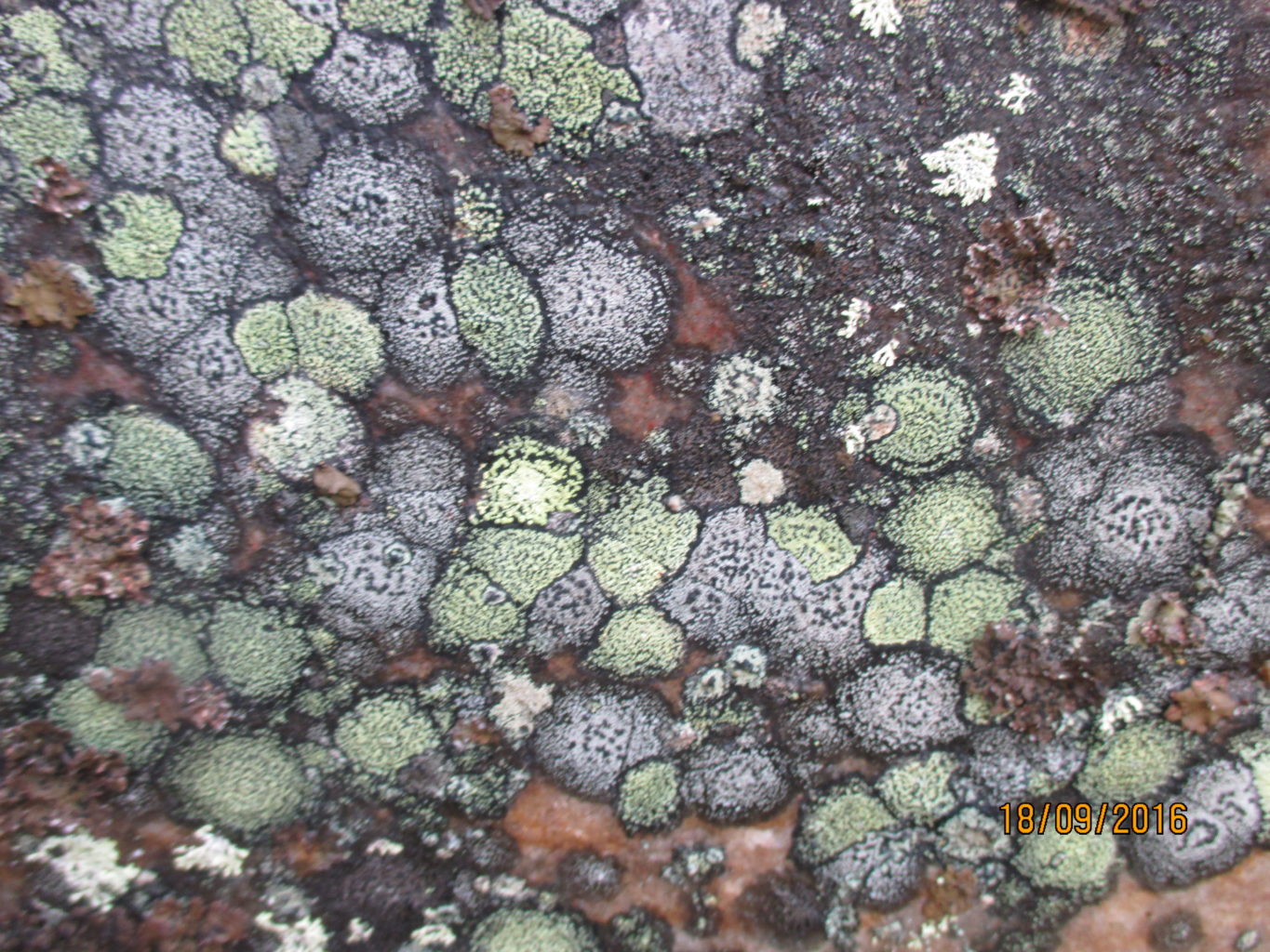 Valokuvaaja: yrjo lukkari