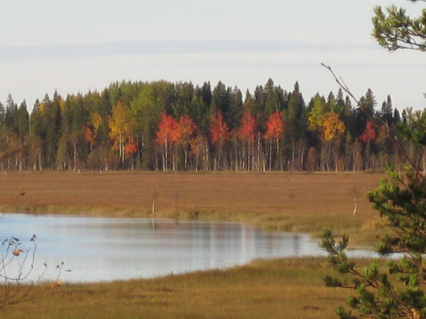 Valokuvaaja: yrjo lukkari