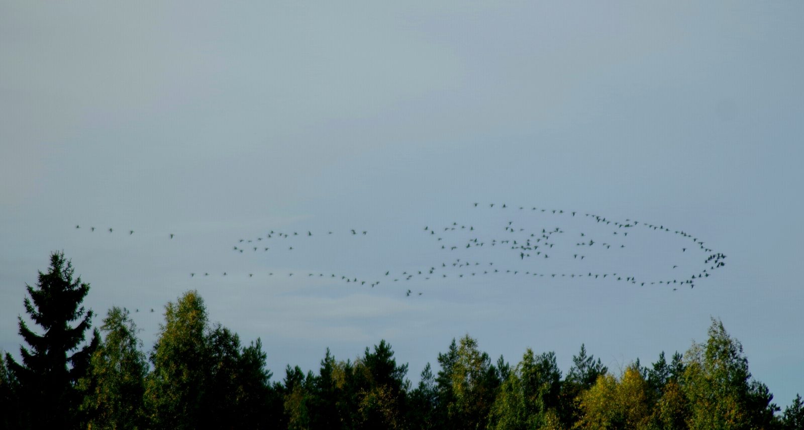 Valokuvaaja: Tuula Makkonen Valokuvaaja: Tuula Makkonen