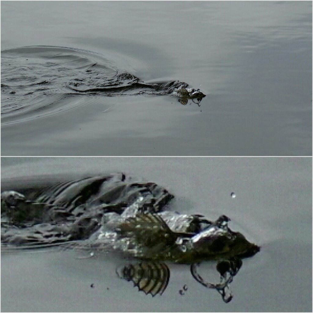 Valokuvaaja: Tuula Makkonen