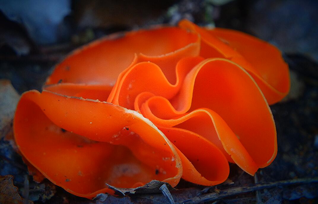 Valokuvaaja: Miisa Järvelä Valokuvaaja: Miisa Järvelä