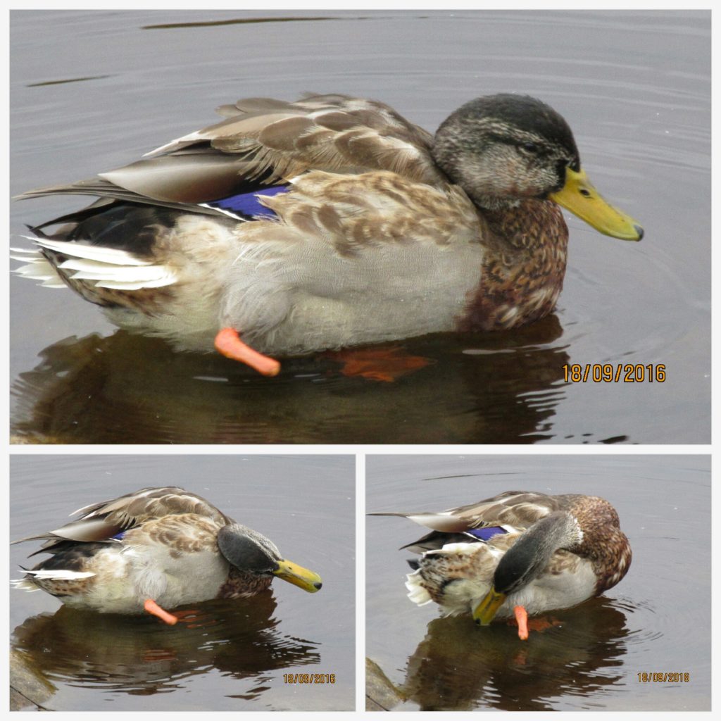 Valokuvaaja: Tuula Makkonen