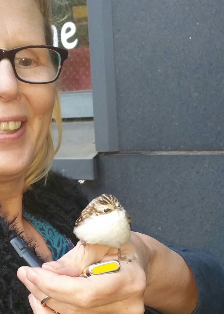 Valokuvaaja: Tiina Ahlfors