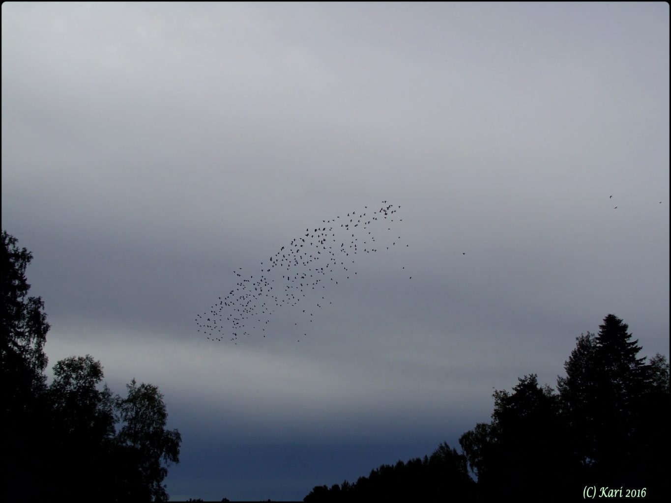 Valokuvaaja: Kari Saarinen