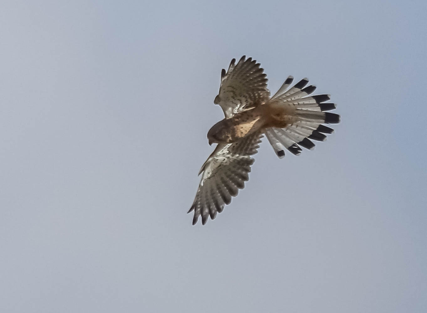 Valokuvaaja: Markku Salonen Valokuvaaja: Markku Salonen