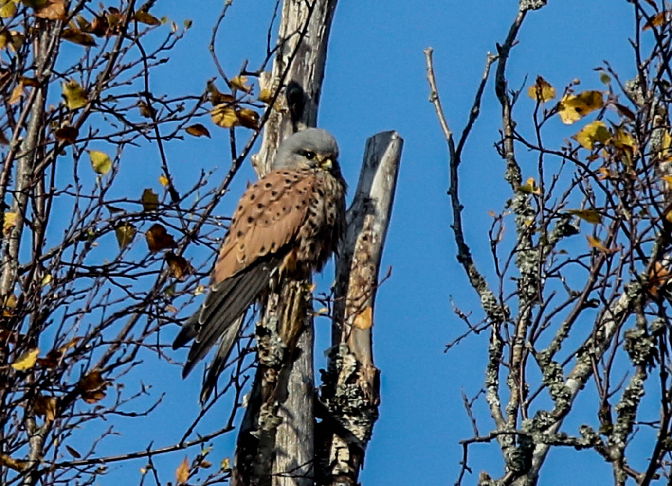 Valokuvaaja: Markku Salonen