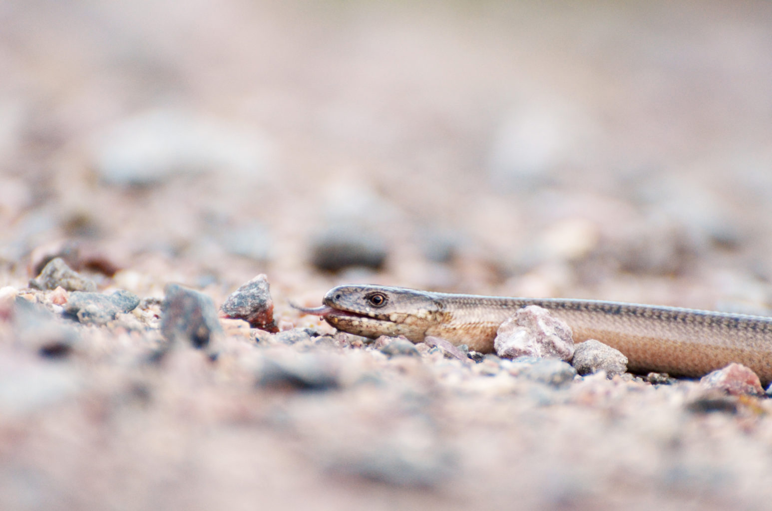 Valokuvaaja: Joni Sundström Valokuvaaja: Joni Sundström