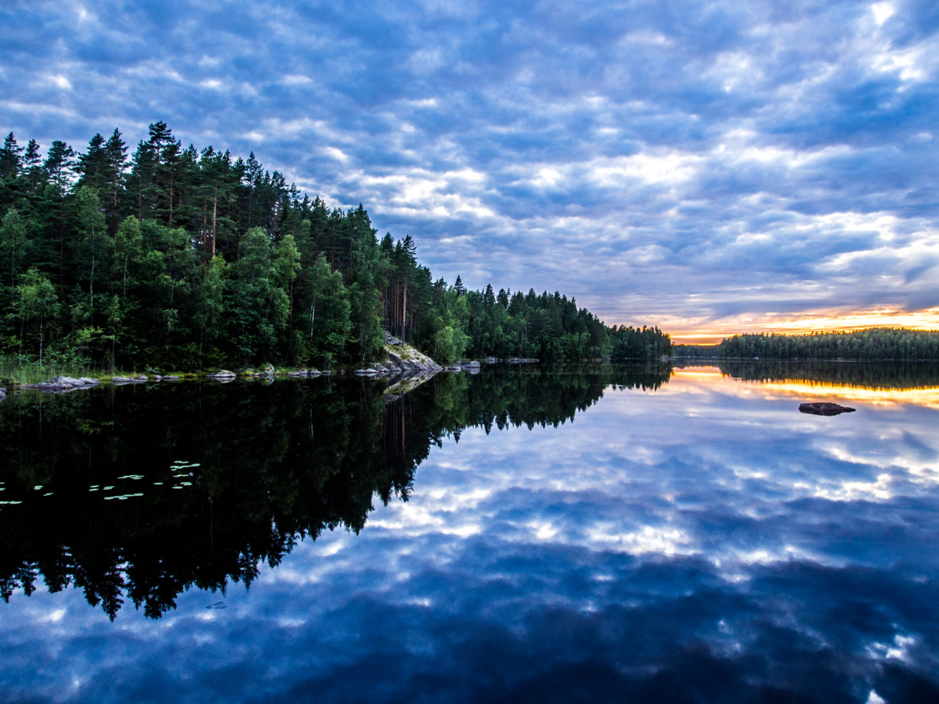 Valokuvaaja: Jasmine Bettinelli