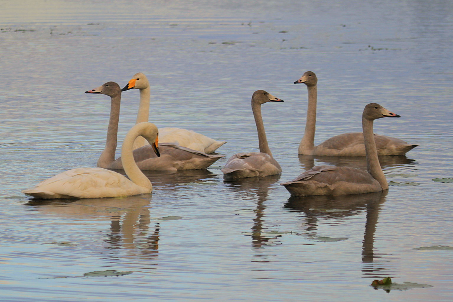 Valokuvaaja: Sirpa Jyske