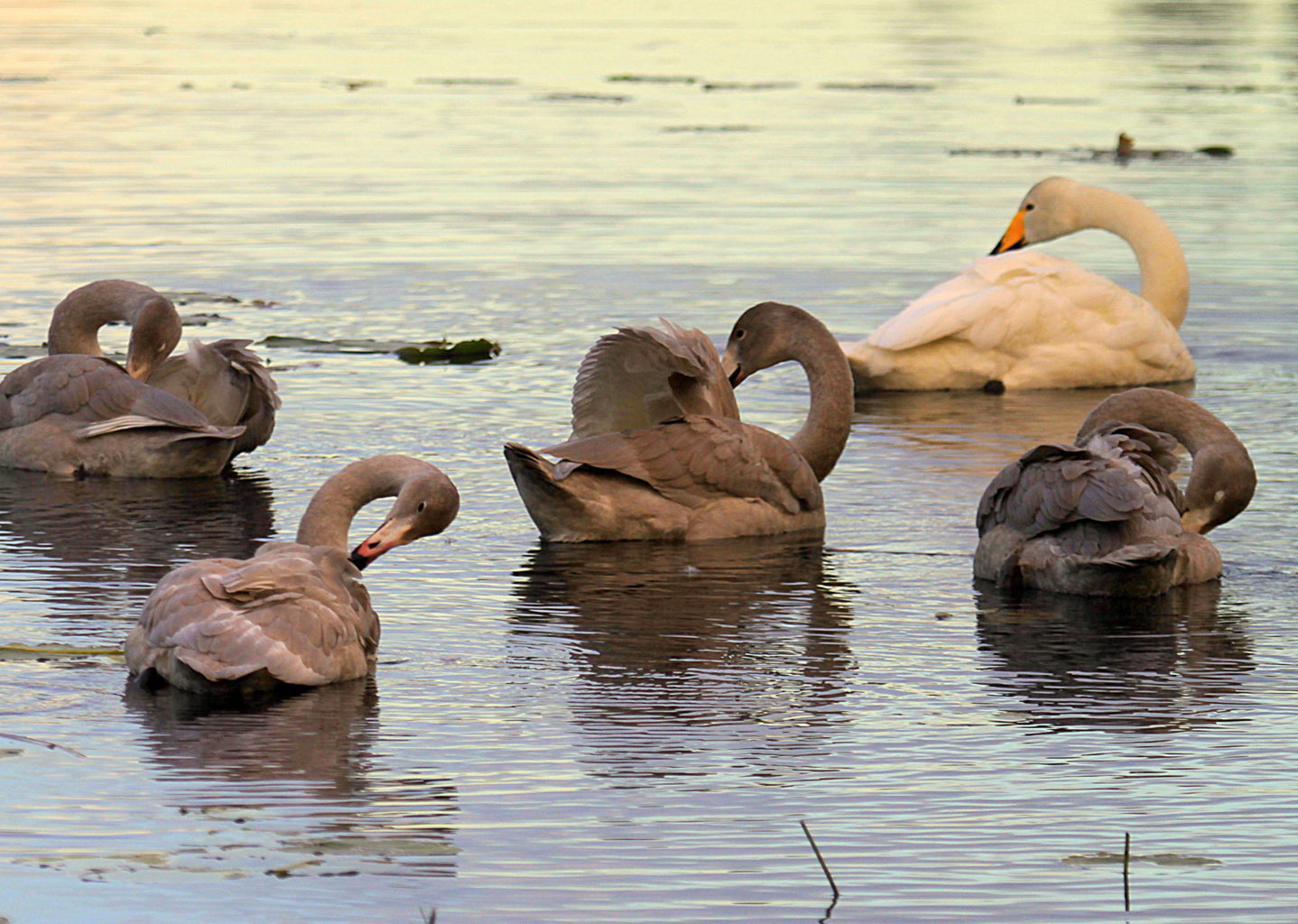 Valokuvaaja: Sirpa Jyske
