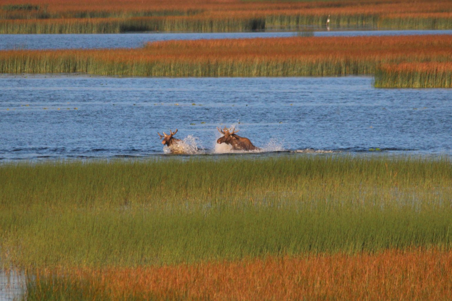 Valokuvaaja: Juhani Stén