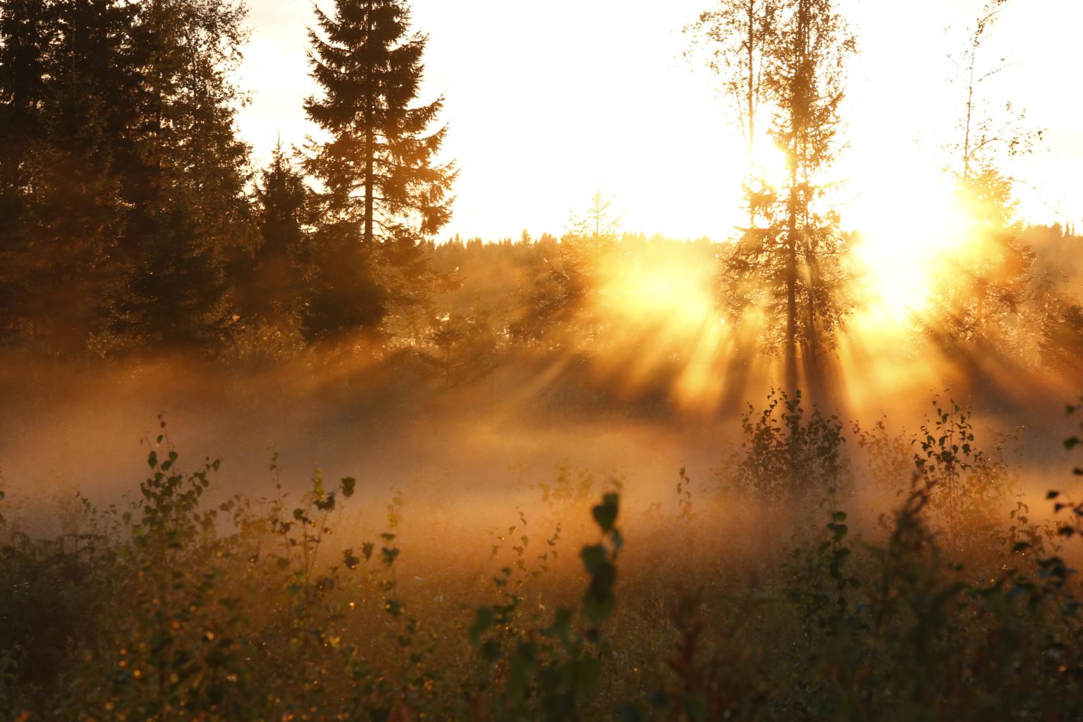Valokuvaaja: Anne Moilanen