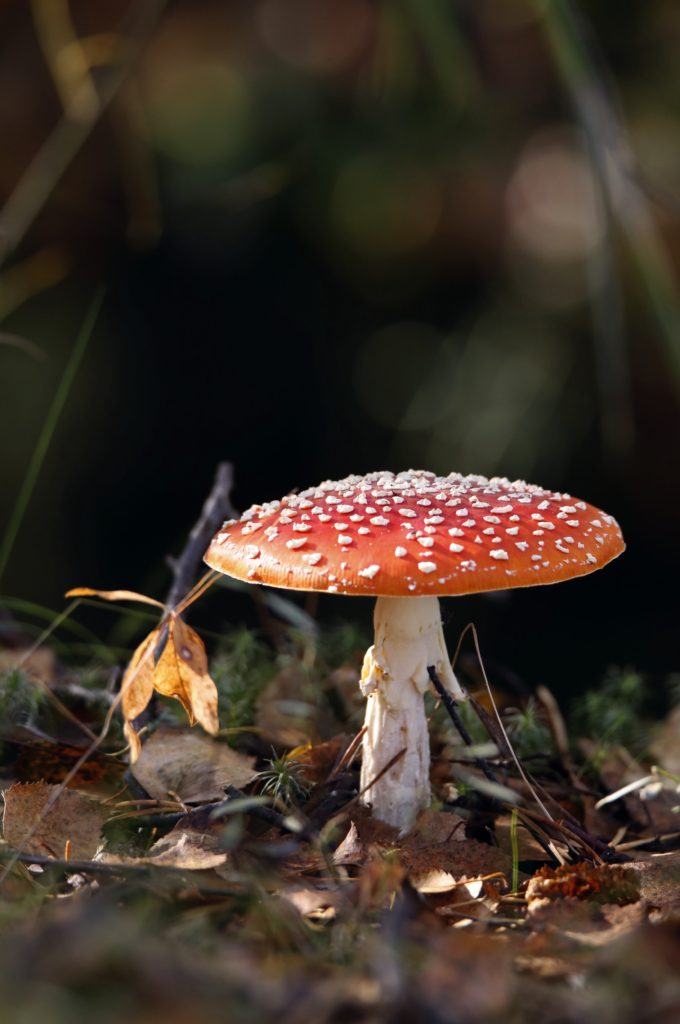 Valokuvaaja: Anne Moilanen