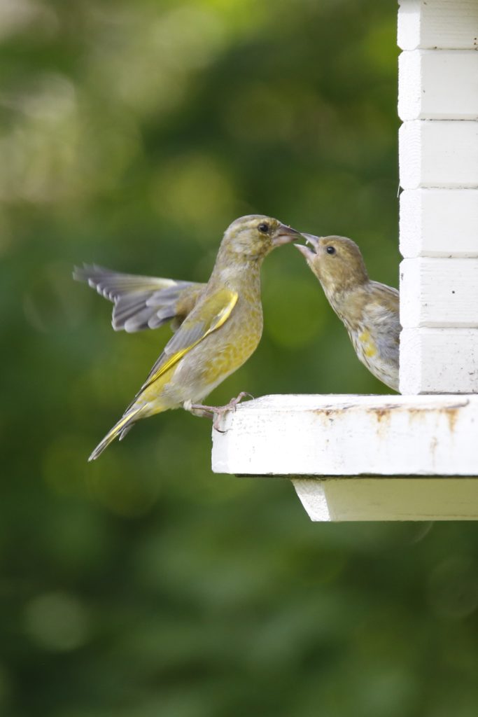 Valokuvaaja: Anne Moilanen