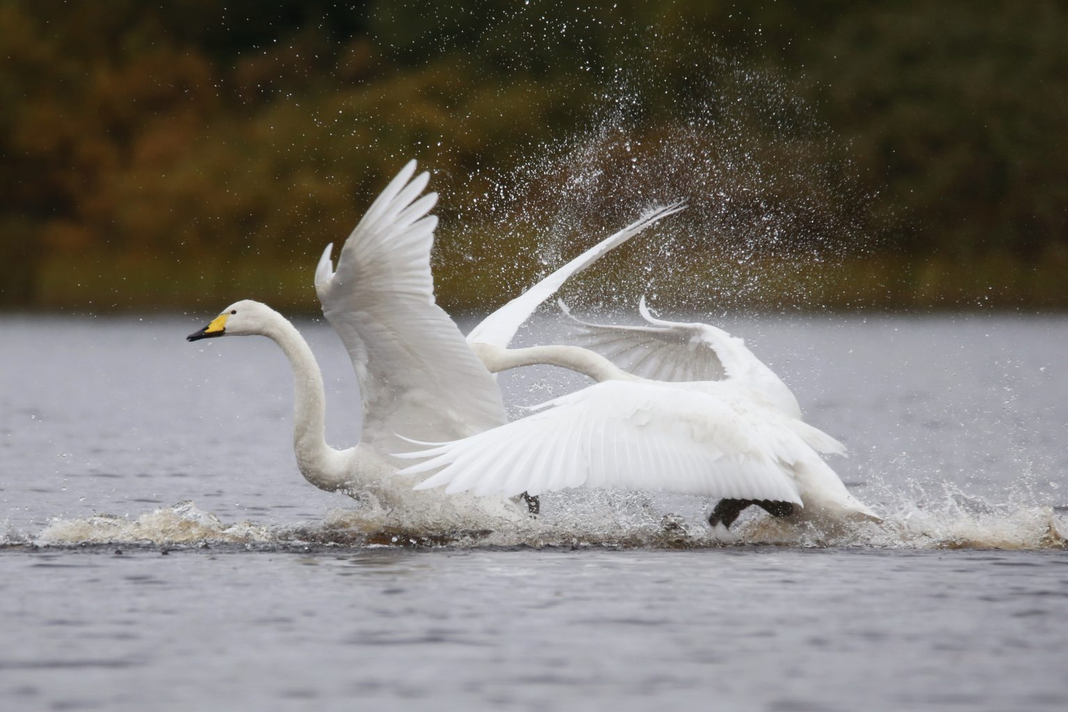 Valokuvaaja: Anne Moilanen