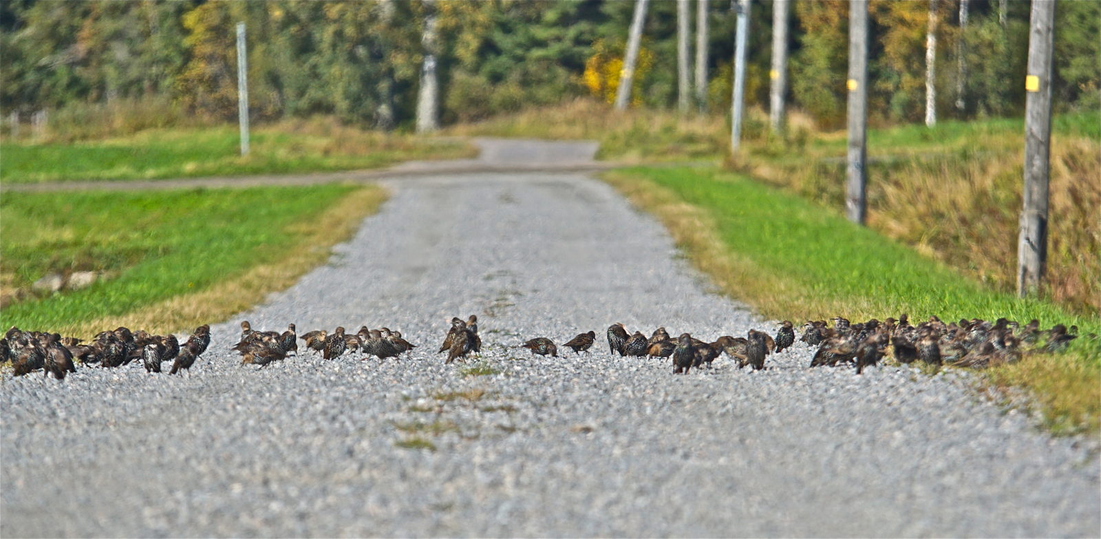 Valokuvaaja: Markku Ranta-Eilola