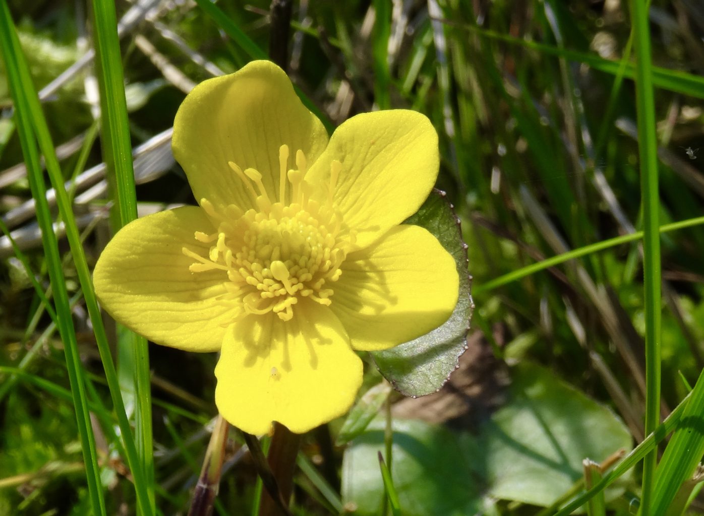 Valokuvaaja: Liisa Niiva-Korpela