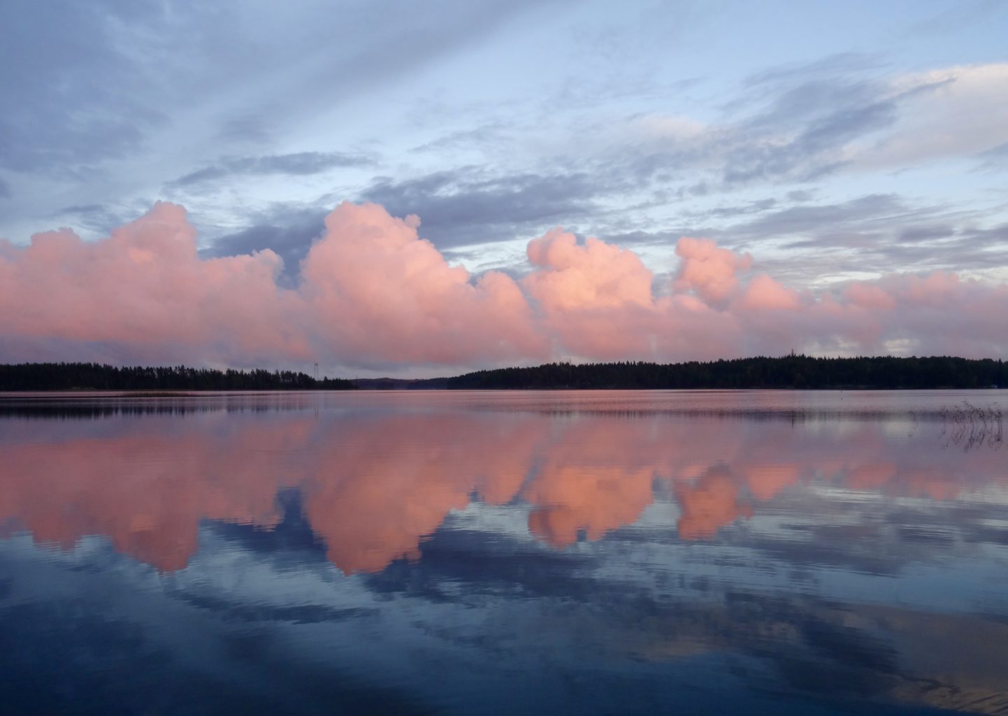Valokuvaaja: Liisa Niiva-Korpela Valokuvaaja: Liisa Niiva-Korpela