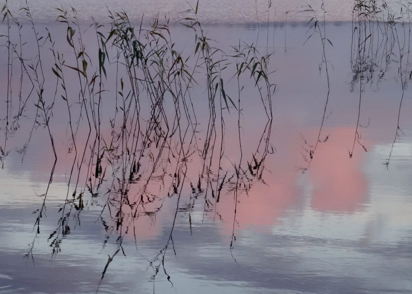 Valokuvaaja: Liisa Niiva-Korpela