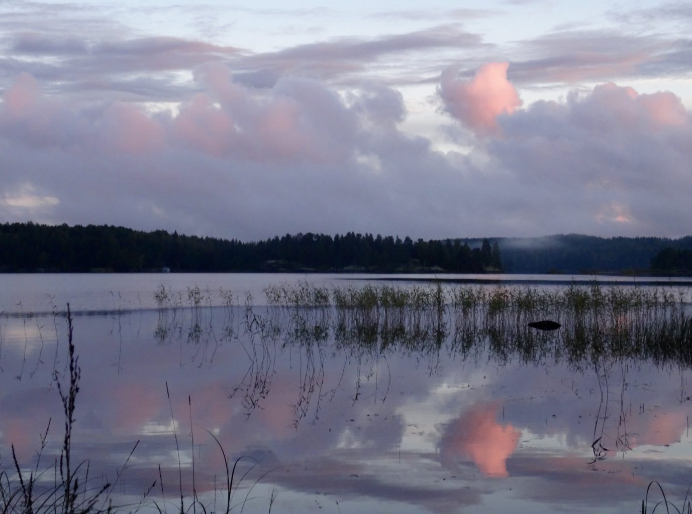 Valokuvaaja: Liisa Niiva-Korpela
