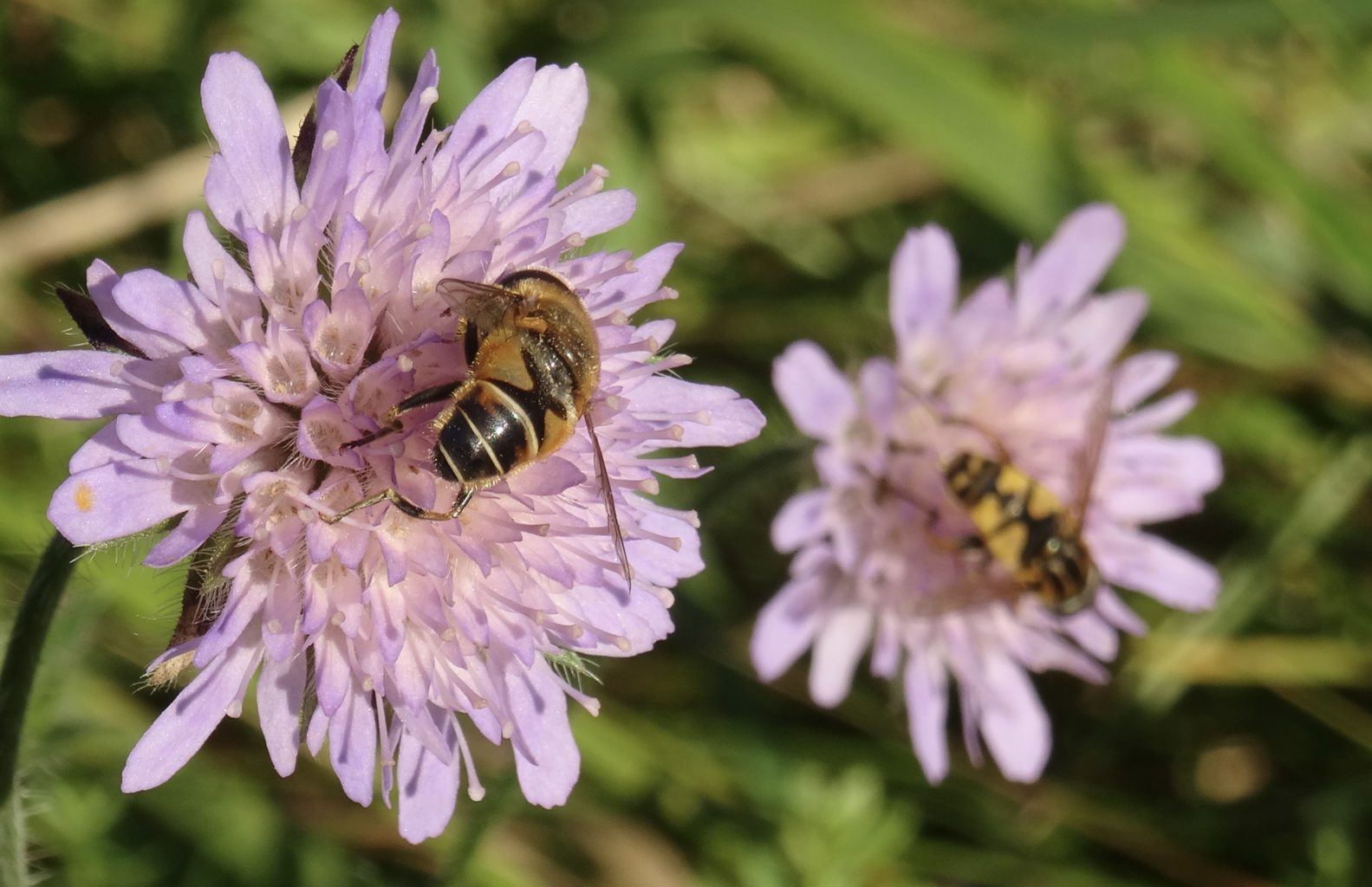 Valokuvaaja: Liisa Niiva-Korpela
