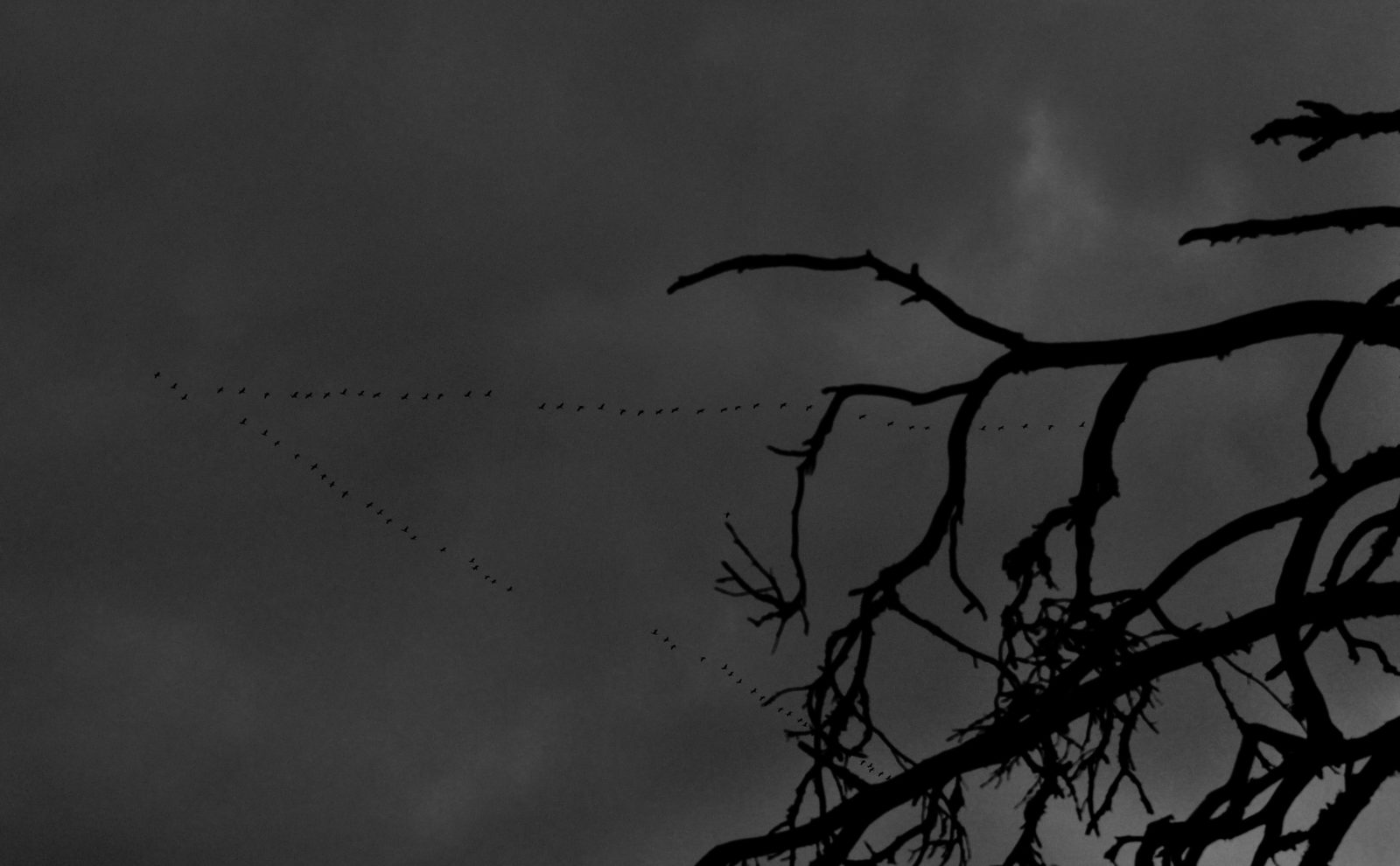 Valokuvaaja: Jenni Merilä