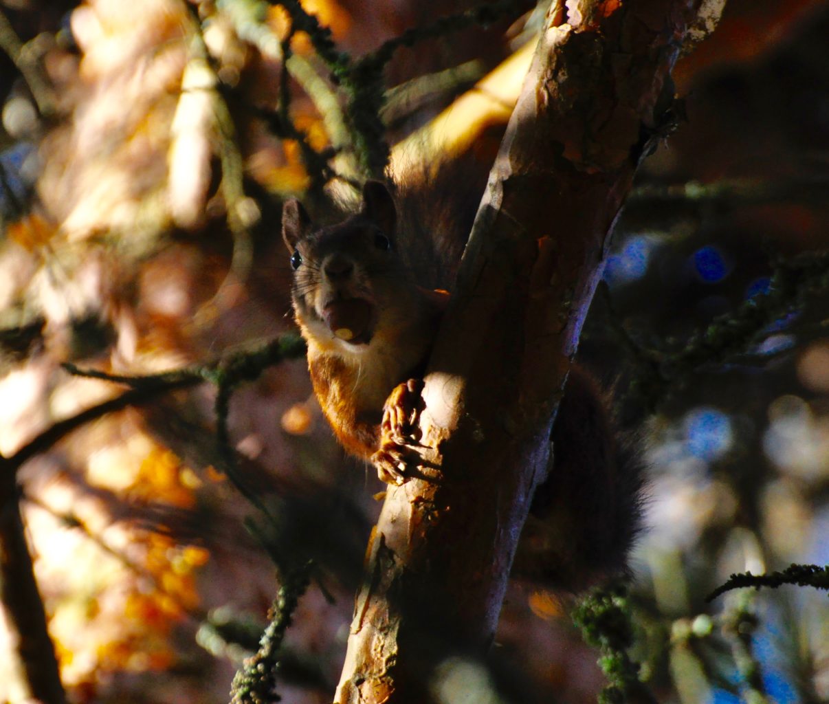 Valokuvaaja: Jenni Merilä
