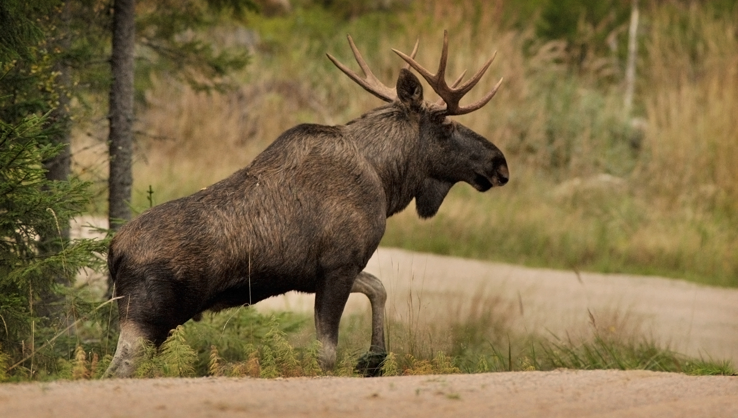 Valokuvaaja: Jenni Merilä