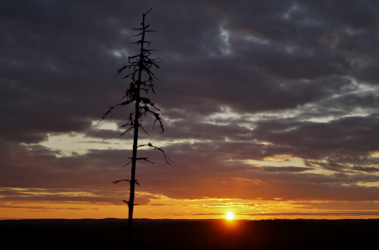 Valokuvaaja: Maarit Siitonen