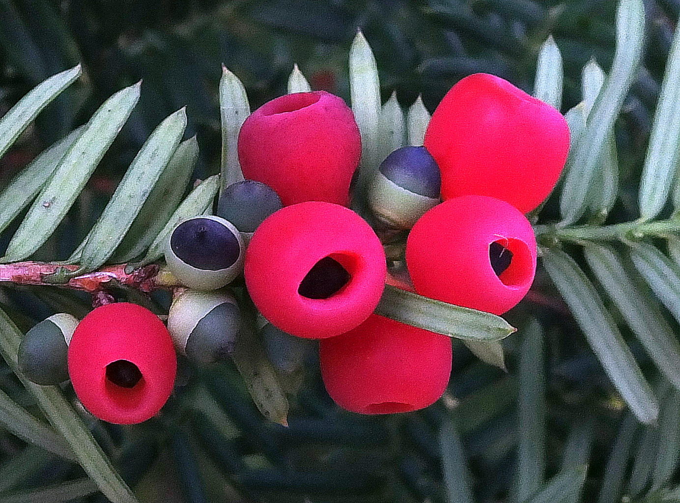 Valokuvaaja: Hannu Rasiranta