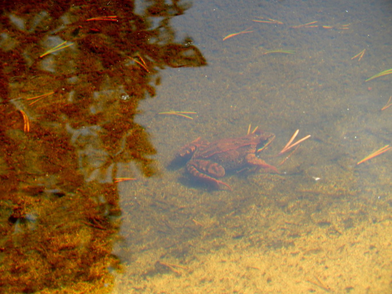 Valokuvaaja: Pirkko Siukonen