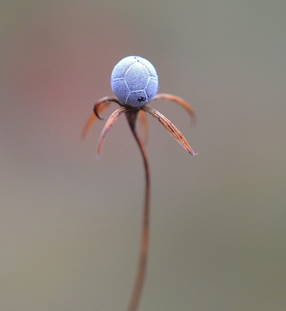 Valokuvaaja: Seija Annala