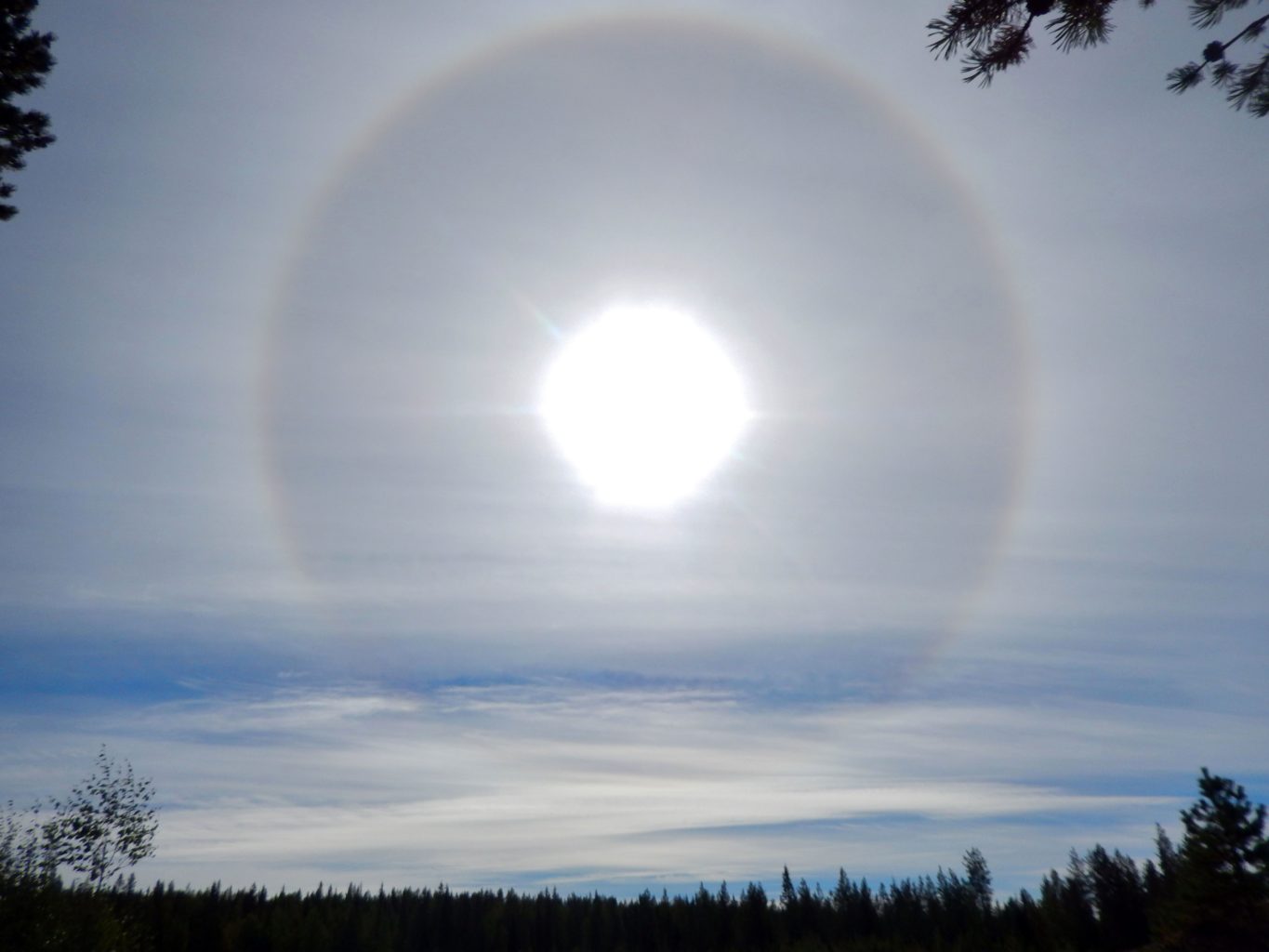 Valokuvaaja: Pirkko Siukonen