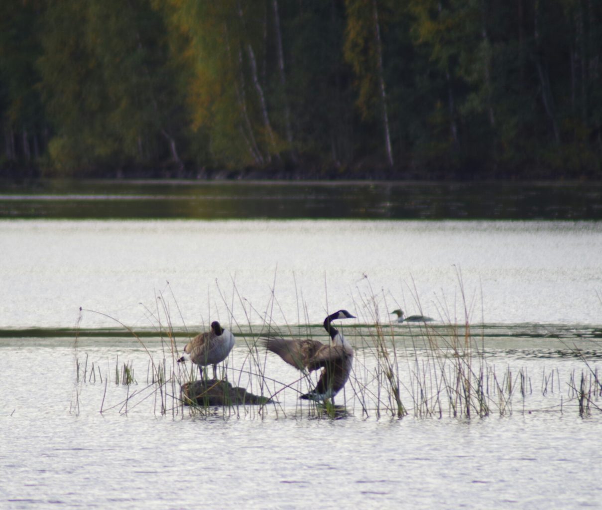 Valokuvaaja: Tuula Makkonen